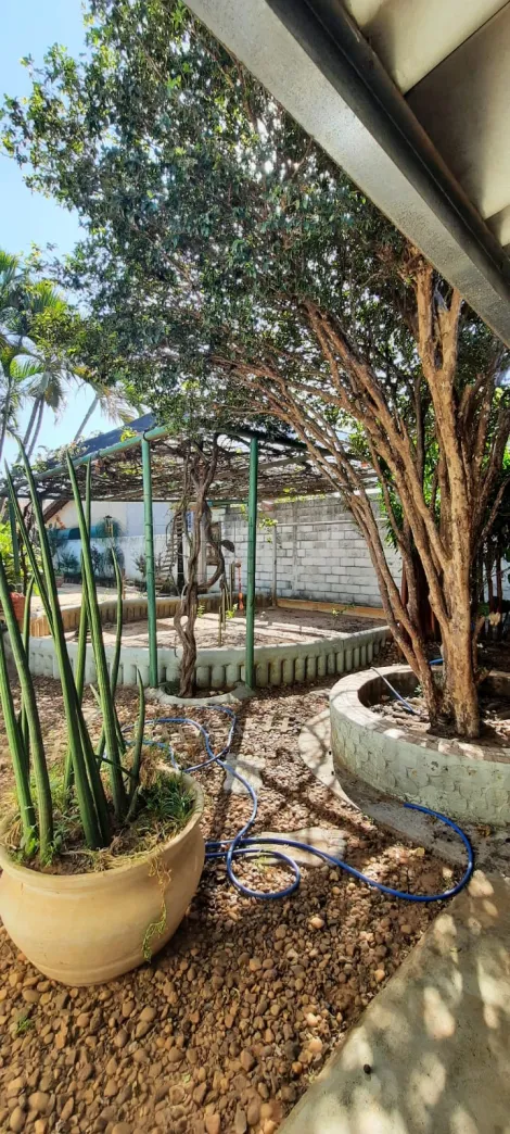 Comprar Rural / Chácara em São José do Rio Preto R$ 900.000,00 - Foto 7