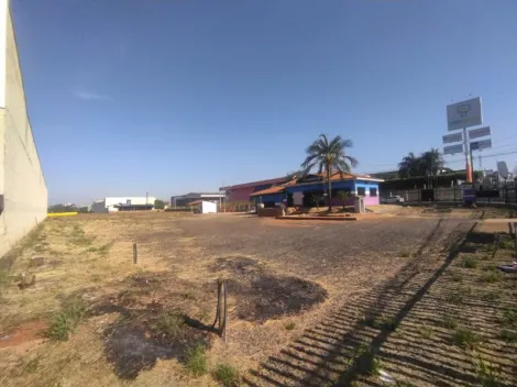 Alugar Comercial / Casa Comercial em São José do Rio Preto apenas R$ 25.000,00 - Foto 4