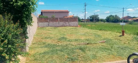 Comprar Terreno / Padrão em São José do Rio Preto R$ 105.000,00 - Foto 2