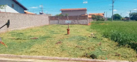 Comprar Terreno / Padrão em São José do Rio Preto apenas R$ 105.000,00 - Foto 3