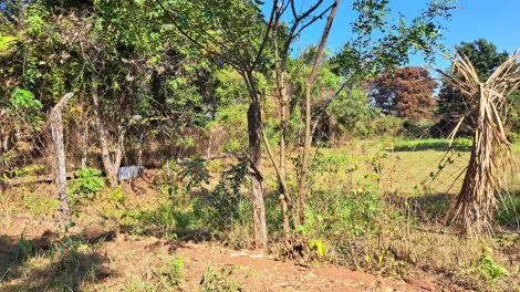 Comprar Terreno / Área em São José do Rio Preto R$ 400.000,00 - Foto 3