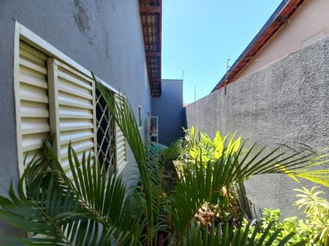 Alugar Casa / Padrão em São José do Rio Preto R$ 1.300,00 - Foto 20