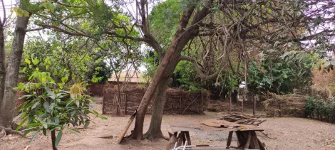 Comprar Rural / Chácara em São José do Rio Preto apenas R$ 290.000,00 - Foto 3