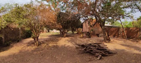 Comprar Rural / Chácara em São José do Rio Preto R$ 290.000,00 - Foto 16