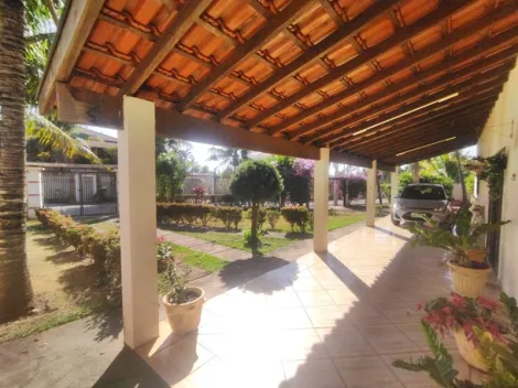 Comprar Rural / Chácara em Ipiguá R$ 650.000,00 - Foto 3