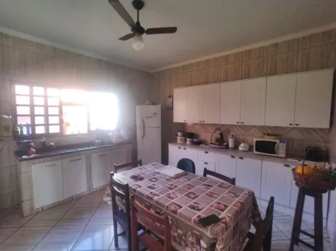 Comprar Rural / Chácara em Ipiguá apenas R$ 650.000,00 - Foto 9