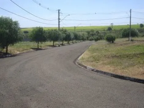 Comprar Terreno / Condomínio em Ibirá apenas R$ 100.000,00 - Foto 3