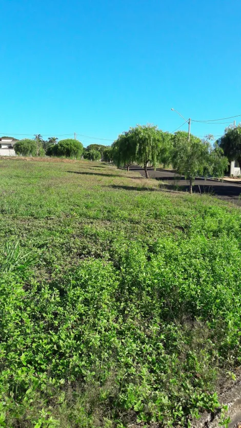 Comprar Terreno / Condomínio em Ibirá apenas R$ 100.000,00 - Foto 8