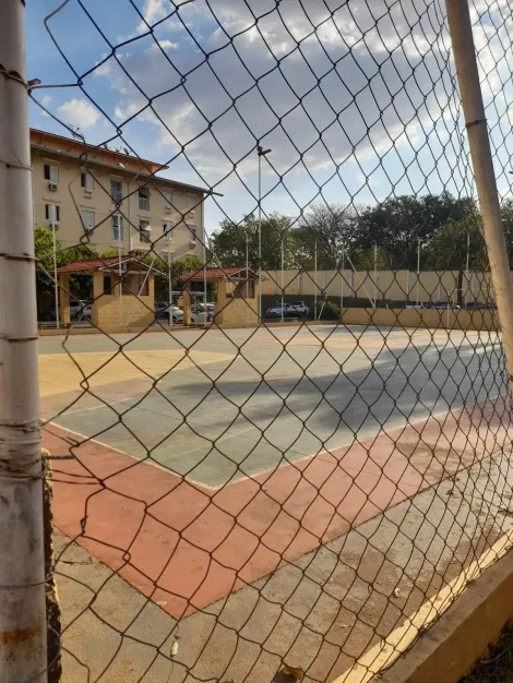 Alugar Apartamento / Padrão em São José do Rio Preto R$ 900,00 - Foto 11