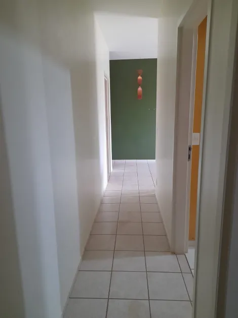 Alugar Apartamento / Padrão em São José do Rio Preto R$ 900,00 - Foto 8