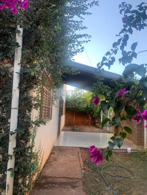 Comprar Rural / Chácara em São José do Rio Preto apenas R$ 195.000,00 - Foto 1