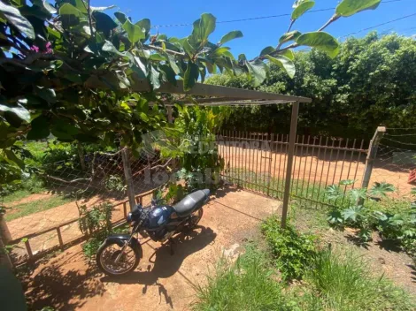 Comprar Rural / Chácara em São José do Rio Preto apenas R$ 195.000,00 - Foto 19