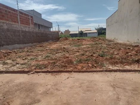 Comprar Terreno / Padrão em São José do Rio Preto apenas R$ 120.000,00 - Foto 3