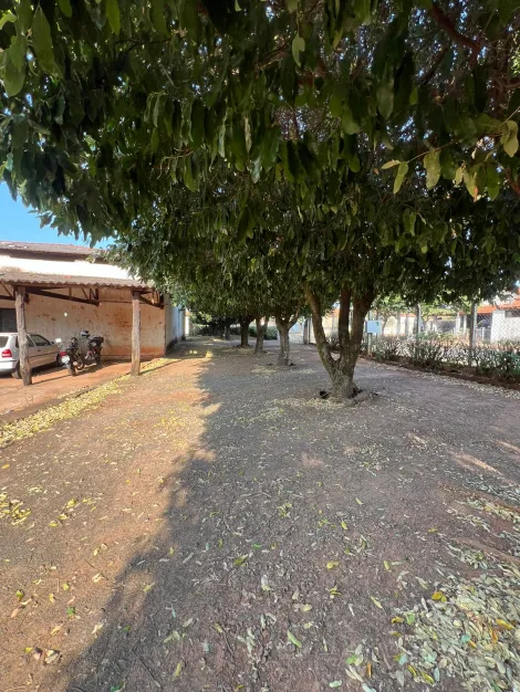 Comprar Rural / Sítio em Macaubal R$ 3.200.000,00 - Foto 10