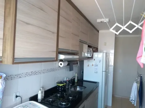 Comprar Apartamento / Padrão em São José do Rio Preto R$ 230.000,00 - Foto 3