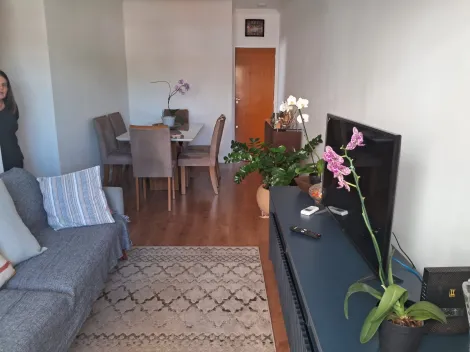 Apartamento / Padrão em São José do Rio Preto 