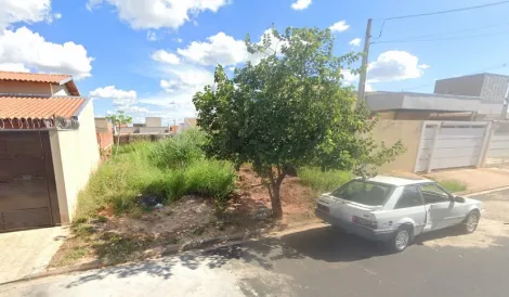 Terreno / Padrão em São José do Rio Preto 