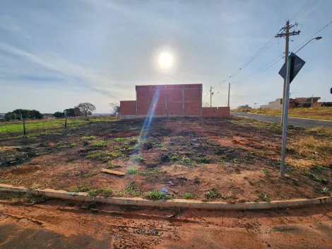 Terreno / Padrão em São José do Rio Preto 