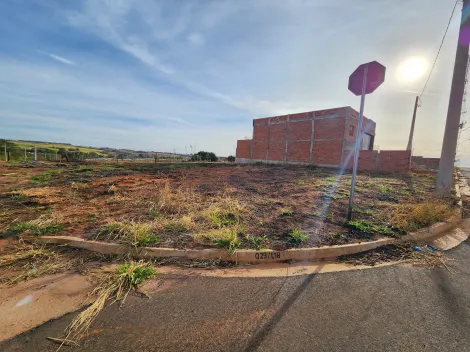 Comprar Terreno / Padrão em São José do Rio Preto R$ 110.000,00 - Foto 2