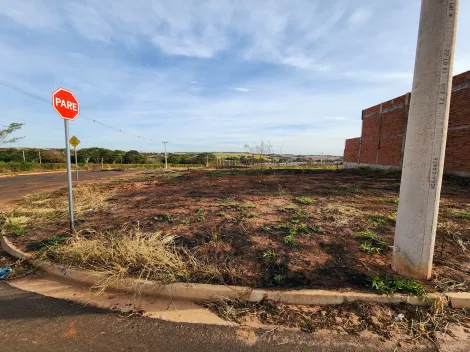 Comprar Terreno / Padrão em São José do Rio Preto R$ 110.000,00 - Foto 3