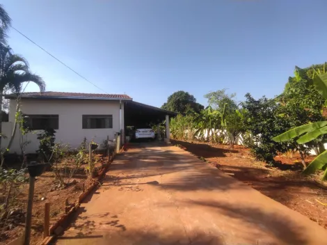 Comprar Rural / Chácara em São José do Rio Preto apenas R$ 420.000,00 - Foto 2