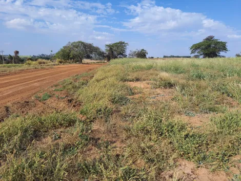 Comprar Rural / Sítio em Cedral apenas R$ 600.000,00 - Foto 19