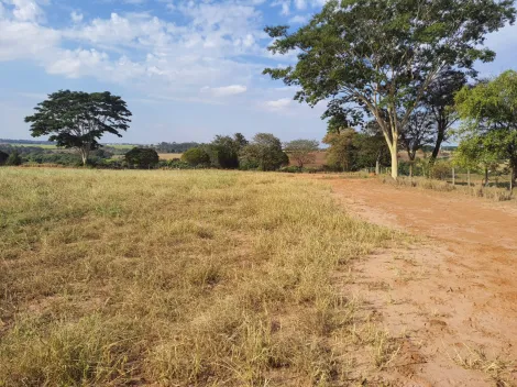 Comprar Rural / Sítio em Cedral R$ 600.000,00 - Foto 5