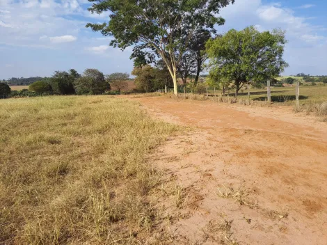 Comprar Rural / Sítio em Cedral R$ 600.000,00 - Foto 7