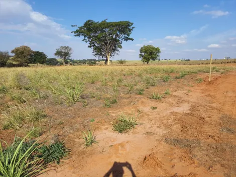 Comprar Rural / Sítio em Cedral apenas R$ 600.000,00 - Foto 9