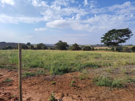 Comprar Rural / Sítio em Cedral R$ 600.000,00 - Foto 10