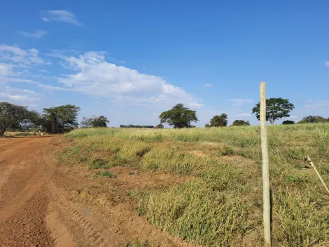 Comprar Rural / Sítio em Cedral apenas R$ 600.000,00 - Foto 15