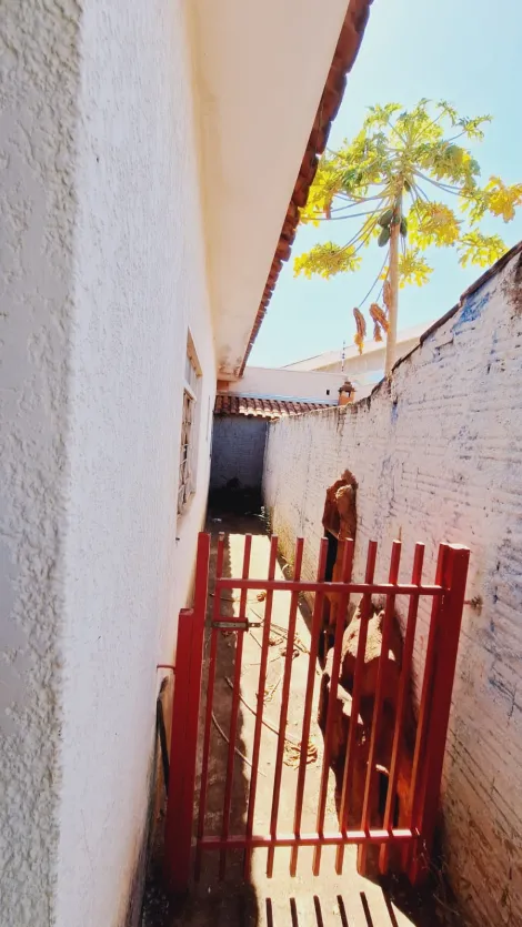 Alugar Casa / Padrão em São José do Rio Preto apenas R$ 1.200,00 - Foto 18