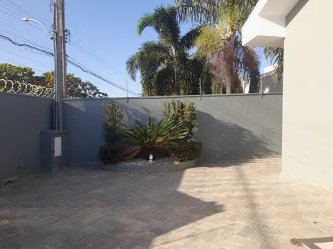 Alugar Casa / Padrão em São José do Rio Preto R$ 4.500,00 - Foto 1