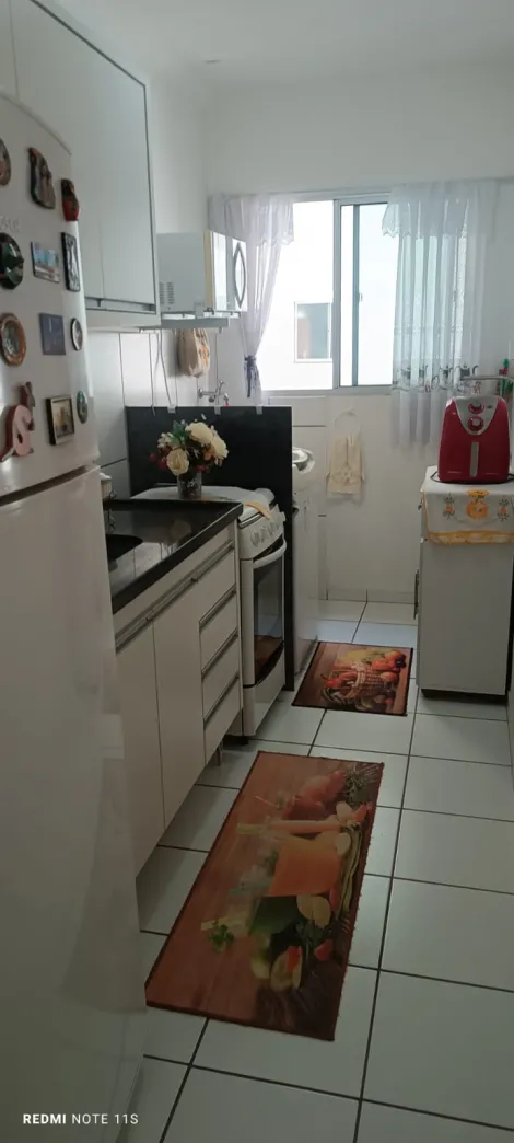 Comprar Apartamento / Padrão em São José do Rio Preto apenas R$ 285.000,00 - Foto 4