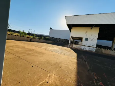 Comprar Terreno / Padrão em São José do Rio Preto R$ 3.500.000,00 - Foto 3