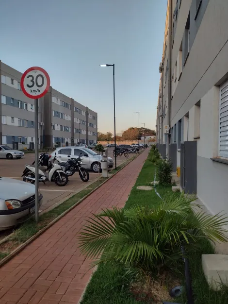 Alugar Apartamento / Padrão em São José do Rio Preto apenas R$ 1.080,00 - Foto 16