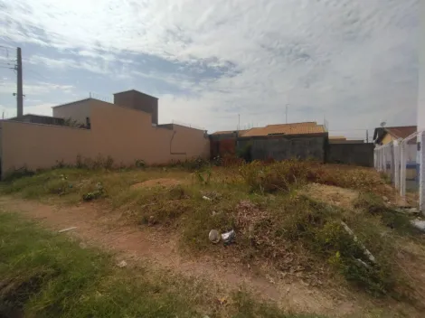 Comprar Terreno / Padrão em São José do Rio Preto R$ 200.000,00 - Foto 2