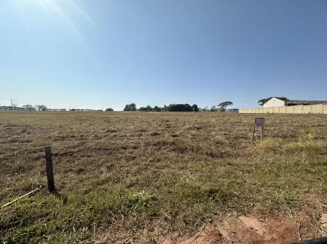 Comprar Terreno / Condomínio em São José do Rio Preto apenas R$ 800.000,00 - Foto 2