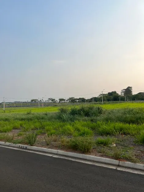 Terreno / Condomínio em São José do Rio Preto 