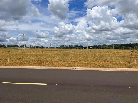 Comprar Terreno / Condomínio em São José do Rio Preto R$ 260.000,00 - Foto 2