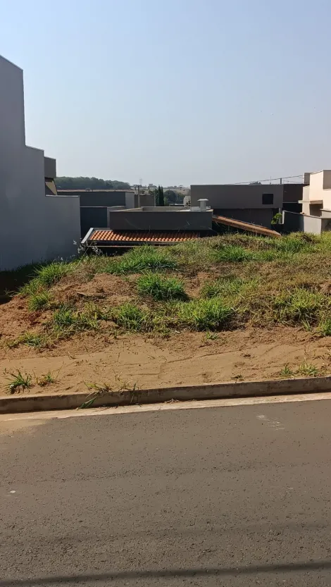 Comprar Terreno / Condomínio em São José do Rio Preto R$ 229.000,00 - Foto 2