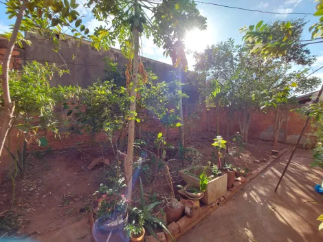 Alugar Casa / Padrão em São José do Rio Preto R$ 700,00 - Foto 6