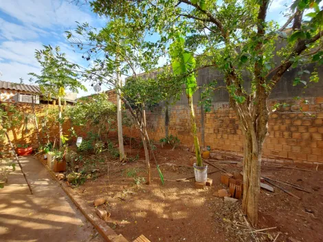 Alugar Casa / Padrão em São José do Rio Preto apenas R$ 700,00 - Foto 7