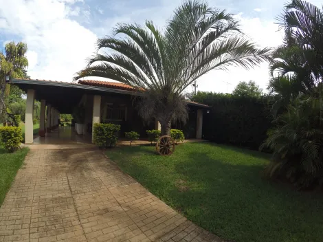 Comprar Rural / Chácara em Guapiaçu apenas R$ 990.000,00 - Foto 3