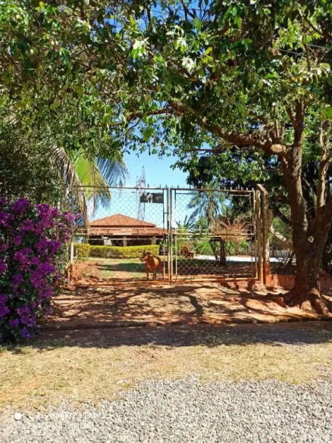 Comprar Rural / Chácara em São José do Rio Preto R$ 1.500.000,00 - Foto 16