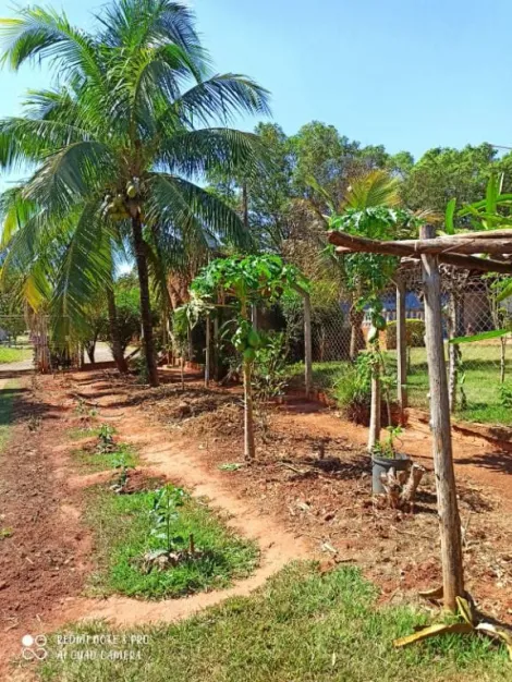 Comprar Rural / Chácara em São José do Rio Preto R$ 1.500.000,00 - Foto 17