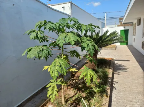 Comprar Casa / Padrão em São José do Rio Preto apenas R$ 5.000.000,00 - Foto 29