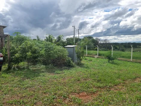 Comprar Rural / Chácara em São José do Rio Preto R$ 300.000,00 - Foto 23