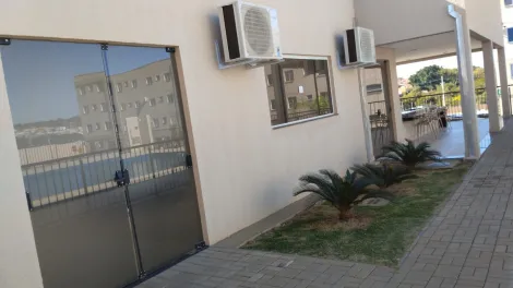 Alugar Apartamento / Padrão em São José do Rio Preto R$ 800,00 - Foto 12