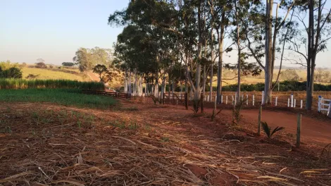 Rural / Sítio em Américo de Campos 